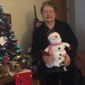 Meet your Posher, Ginger